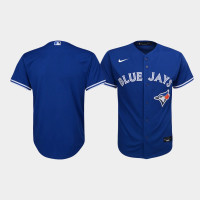 Youth Toronto Blue Jays Royal Replica Alternate Jersey